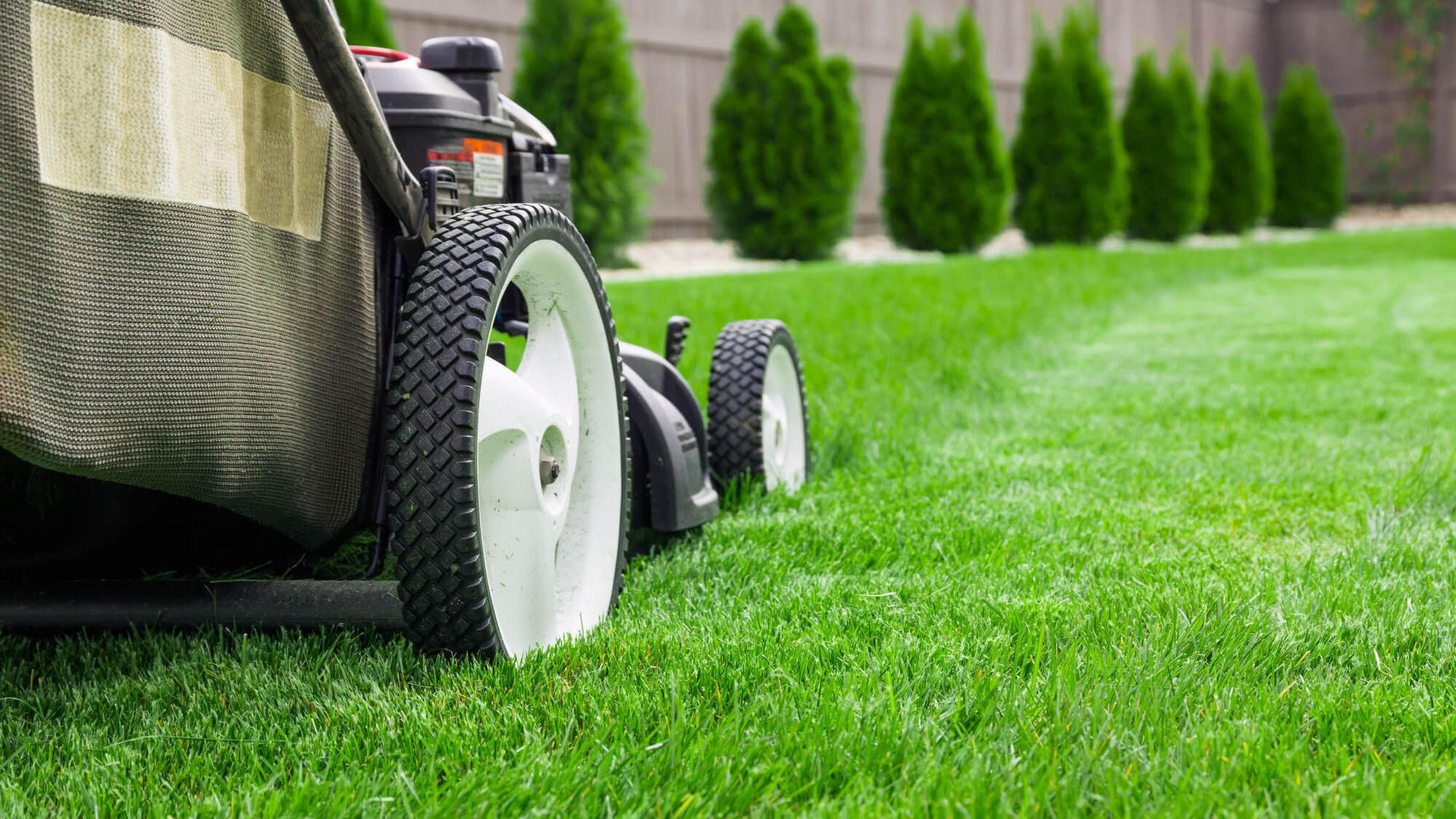 Field Mowing in Kitsap County, Mason County, and Gig Harbor, WA