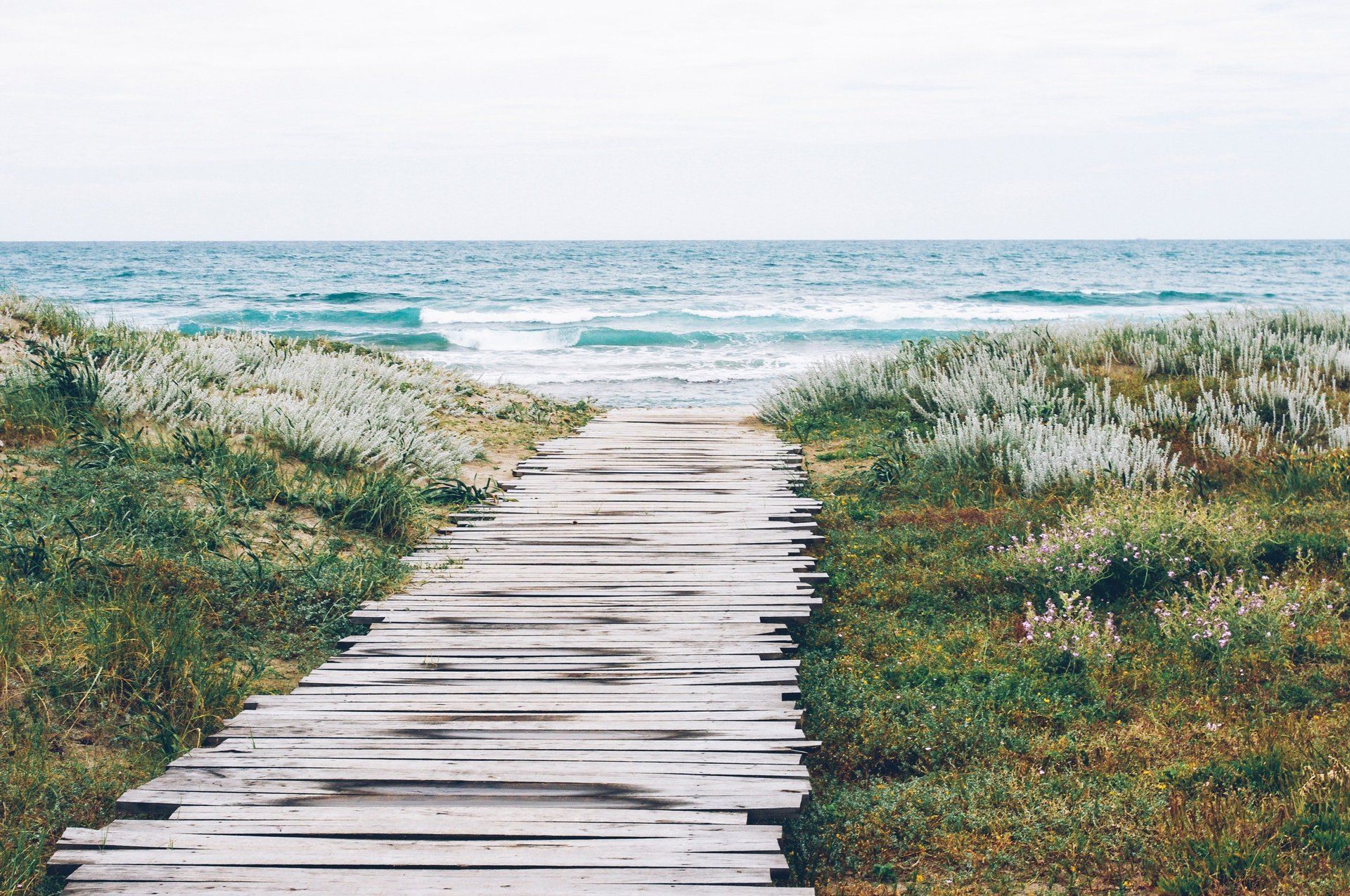 path, direction, work break, exploration, observation, occupational therapy