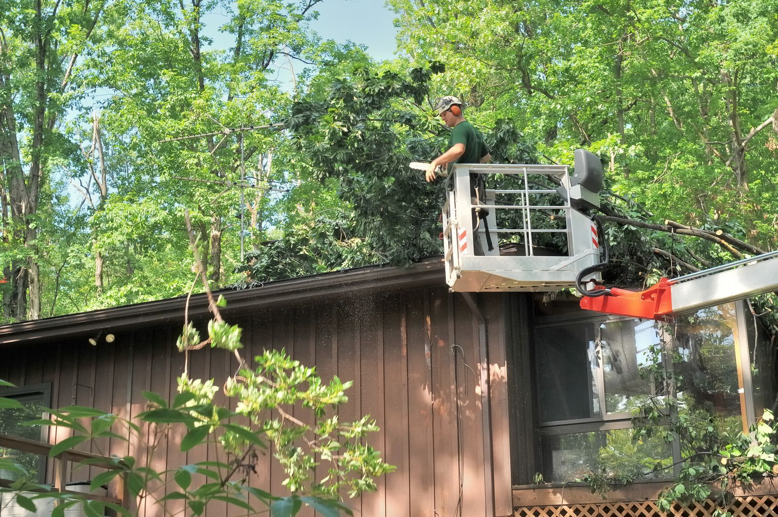 Man in lift trims tree branches near a house with brown siding and large windows.
