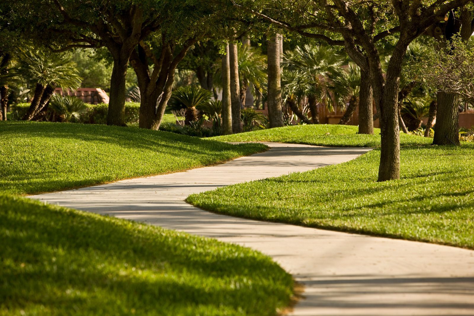 Curving concrete path through green grass and trees in a sunny park.