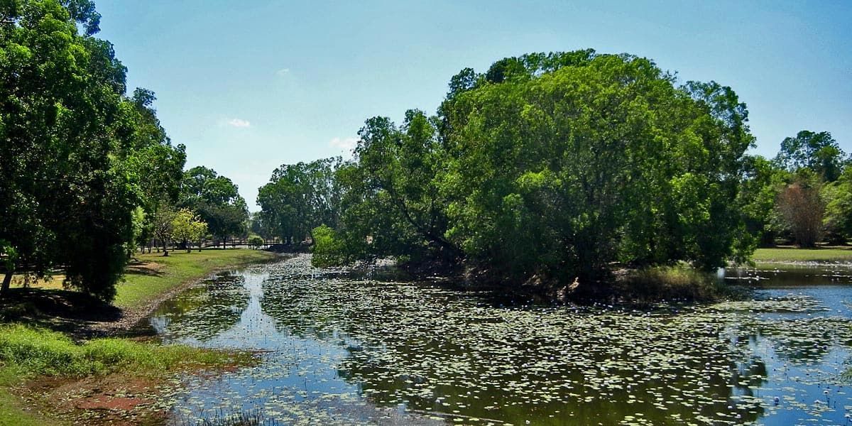 River Flanked by Trees Along the Bank in Palmerston — Voyager Trailers in Darwin, NT