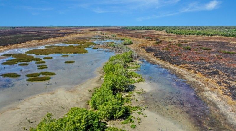 An Aerial View of a Swamp With Trees and a River — Voyager Trailers in Humpty Doo, NT