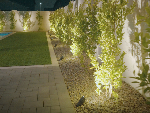 Turf and Lighting in Phoenix.