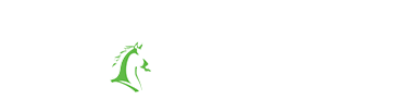 Stance