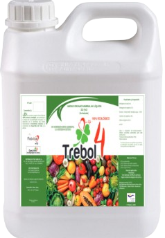 Trebol 4