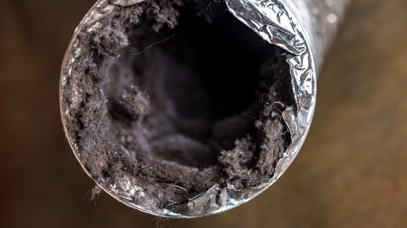 Close-up of a crushed metal tube with dark residue inside