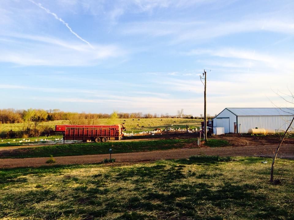 A red dump truck is driving down a dirt road next to a barn.