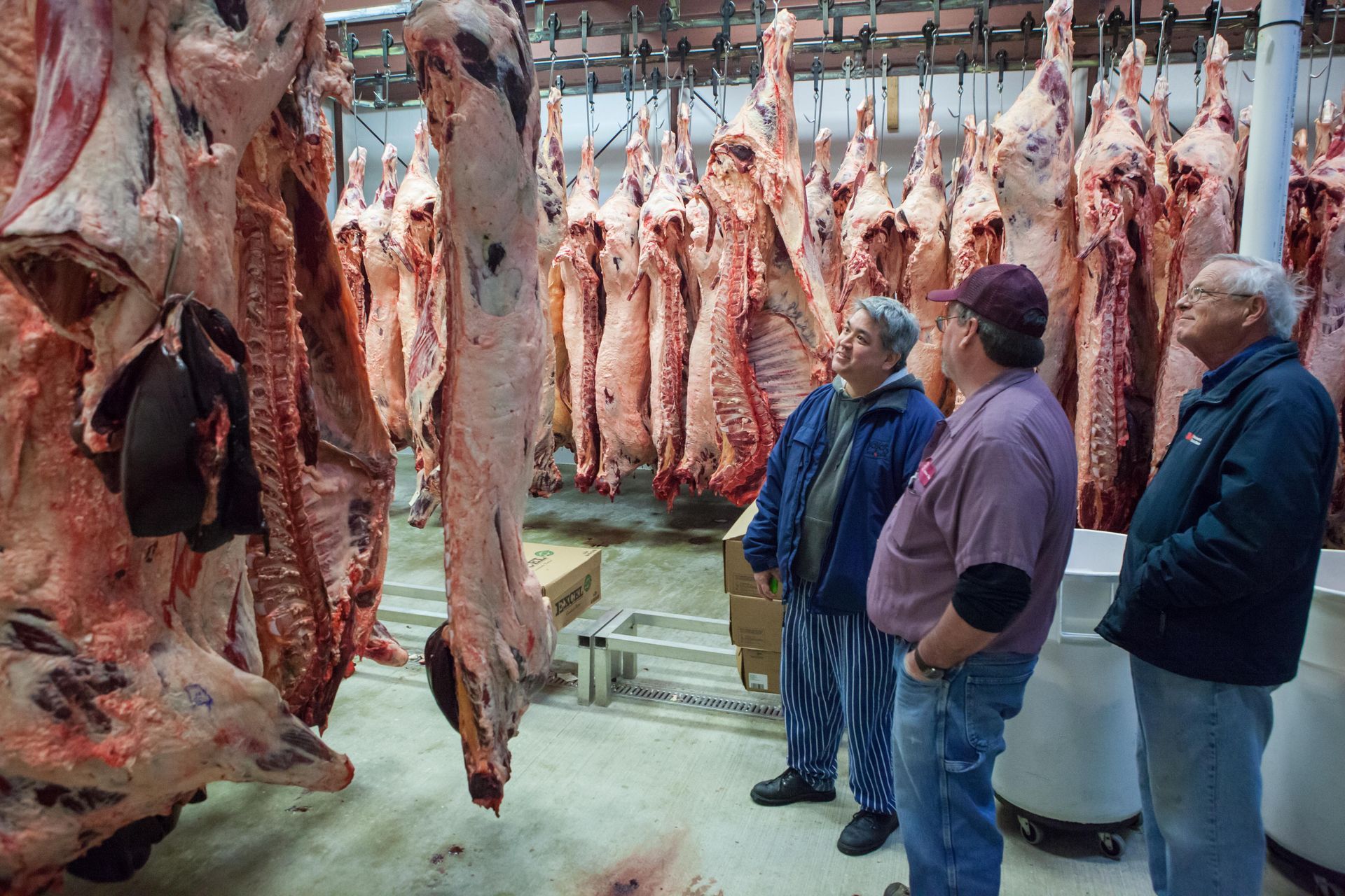 A group of men are standing in a room full of meat