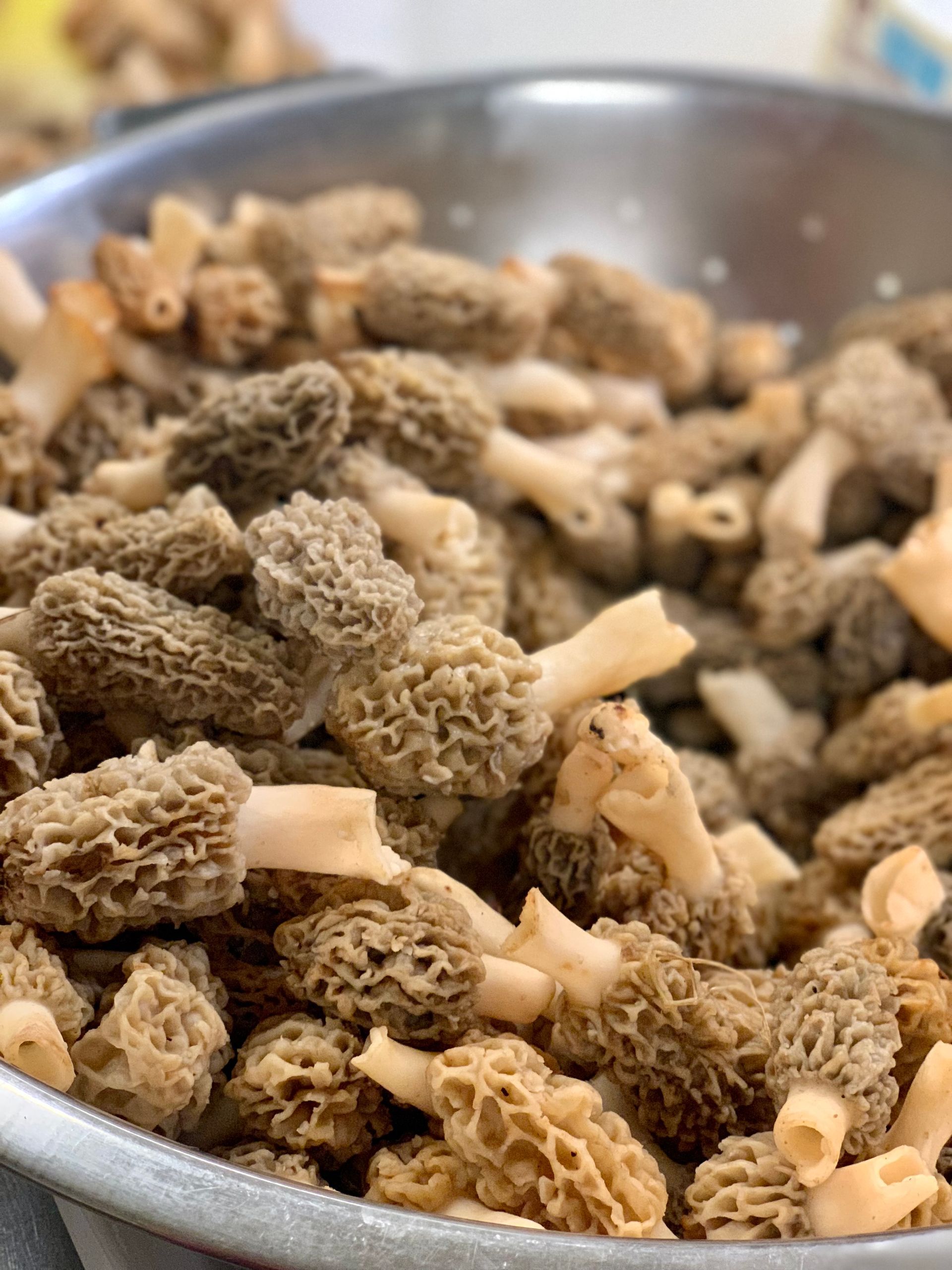 A bowl of morel mushrooms is sitting on a table.