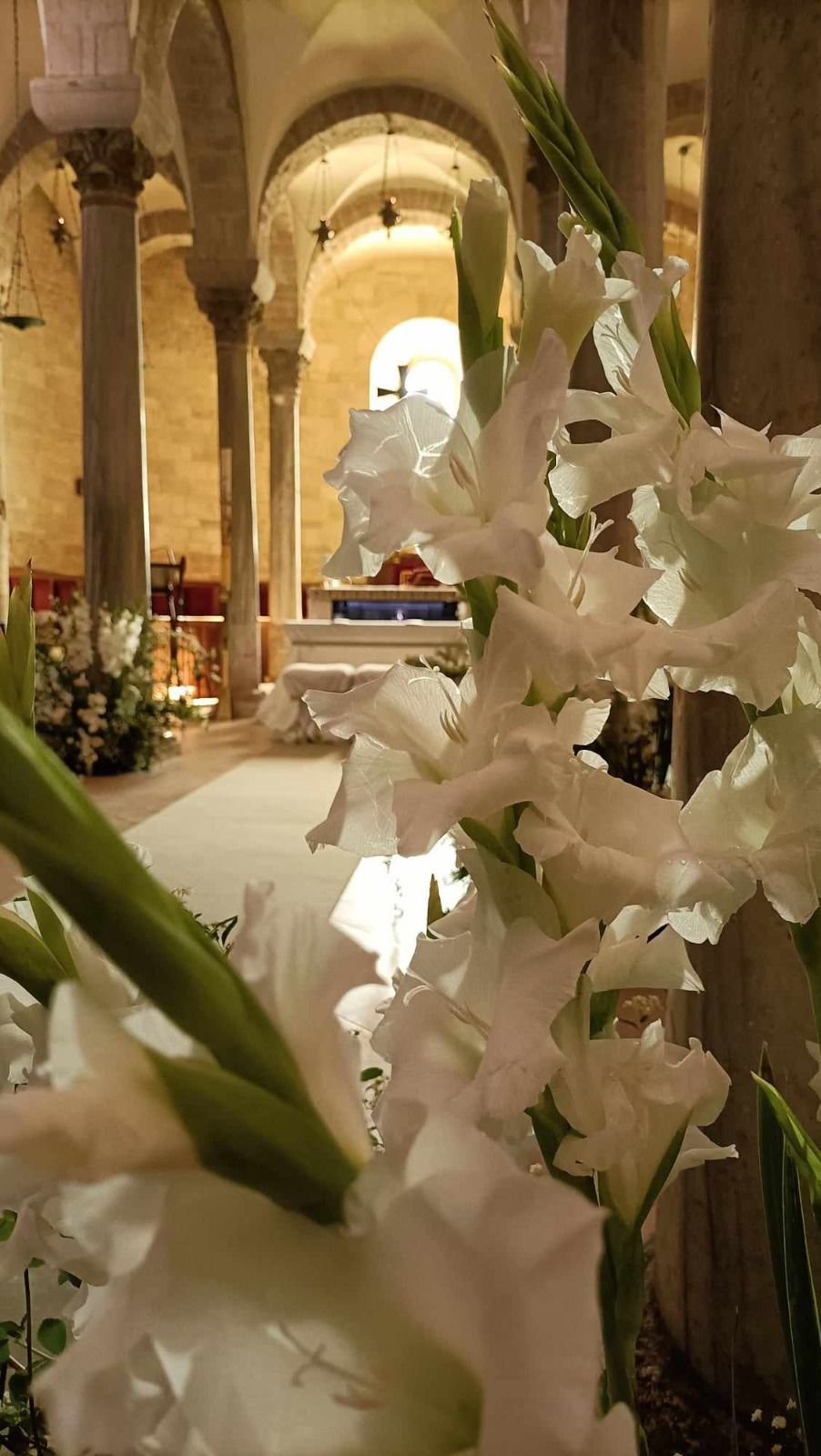 dettaglio fiori