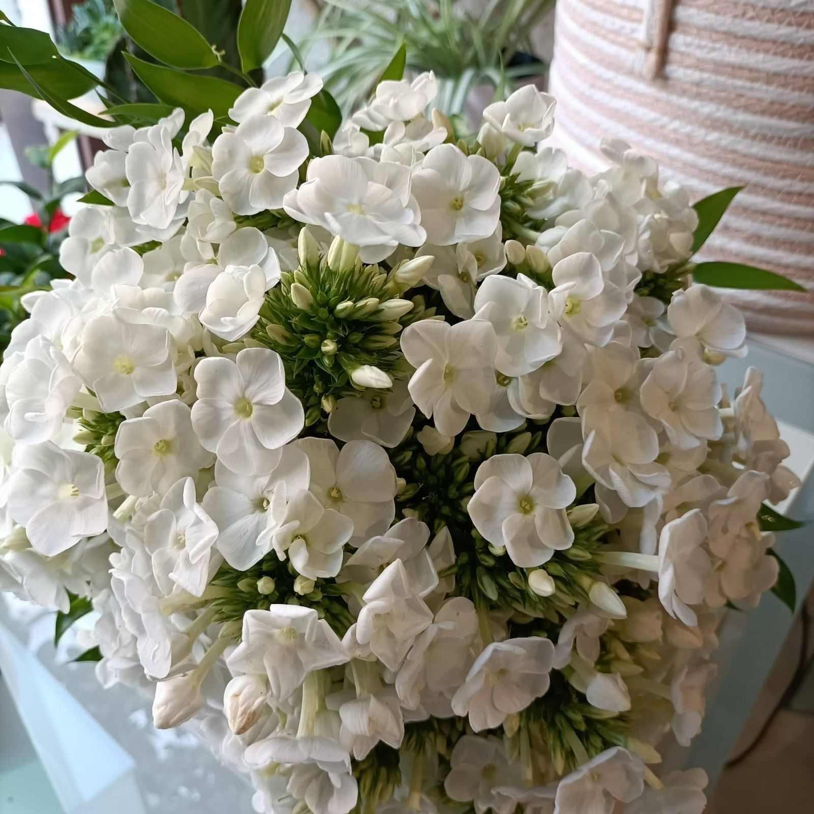 bouquet sposa