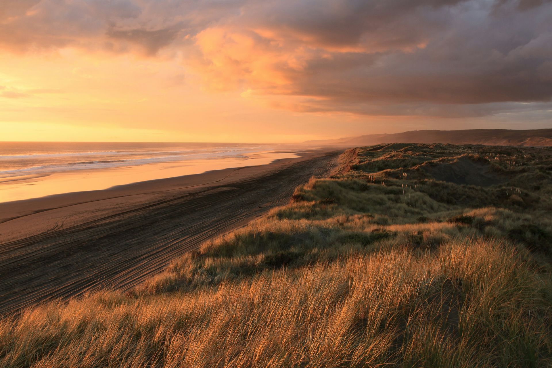 Golden grasses on coastal dunes at sunset with dark sand beach and calm waves under glowing sky.
