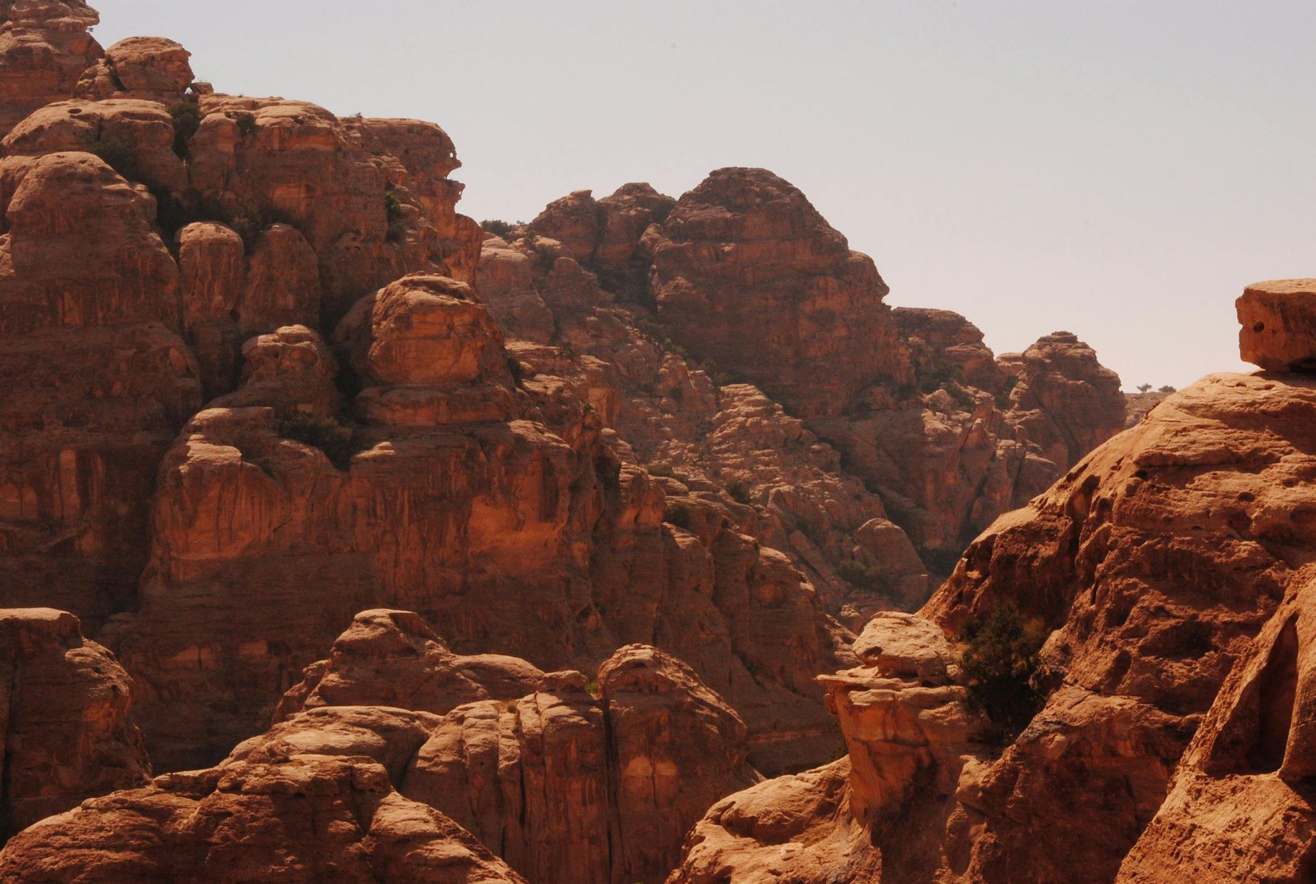 Sunlit red rock canyon with layered sandstone formations and sparse greenery.
