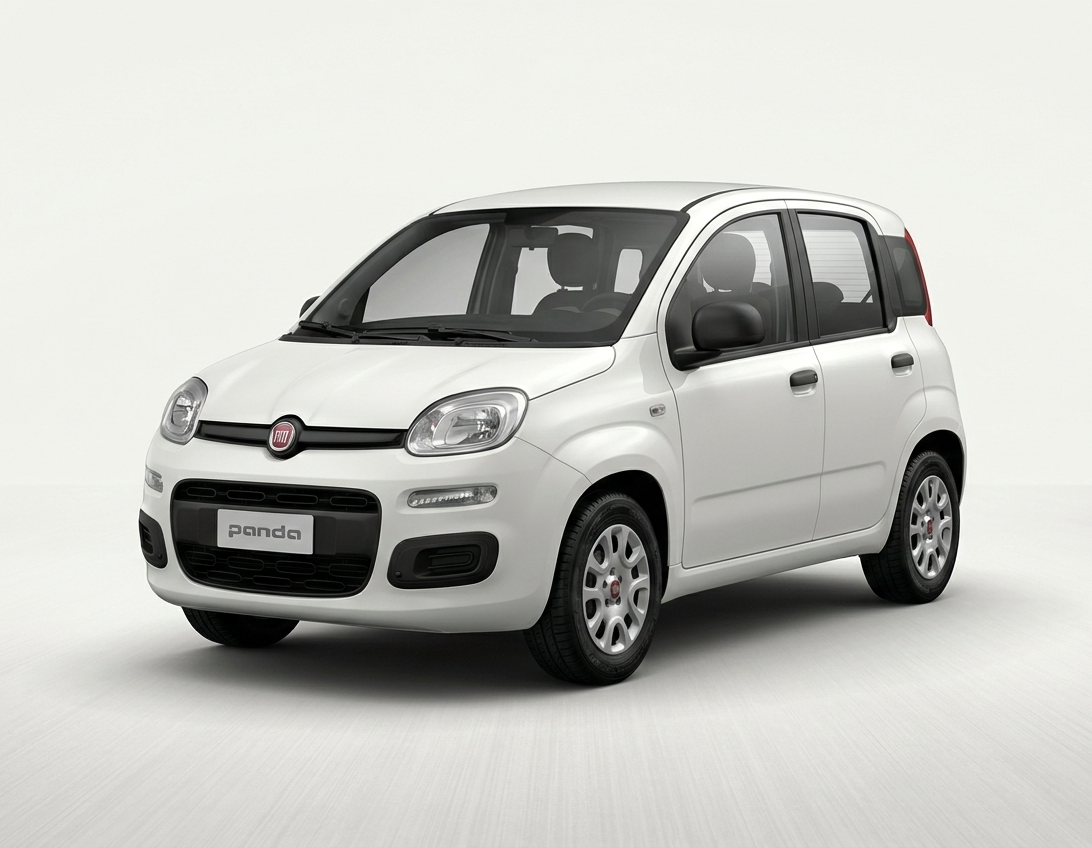 Fiat Panda 4x4 noleggio carrozzeria d&g