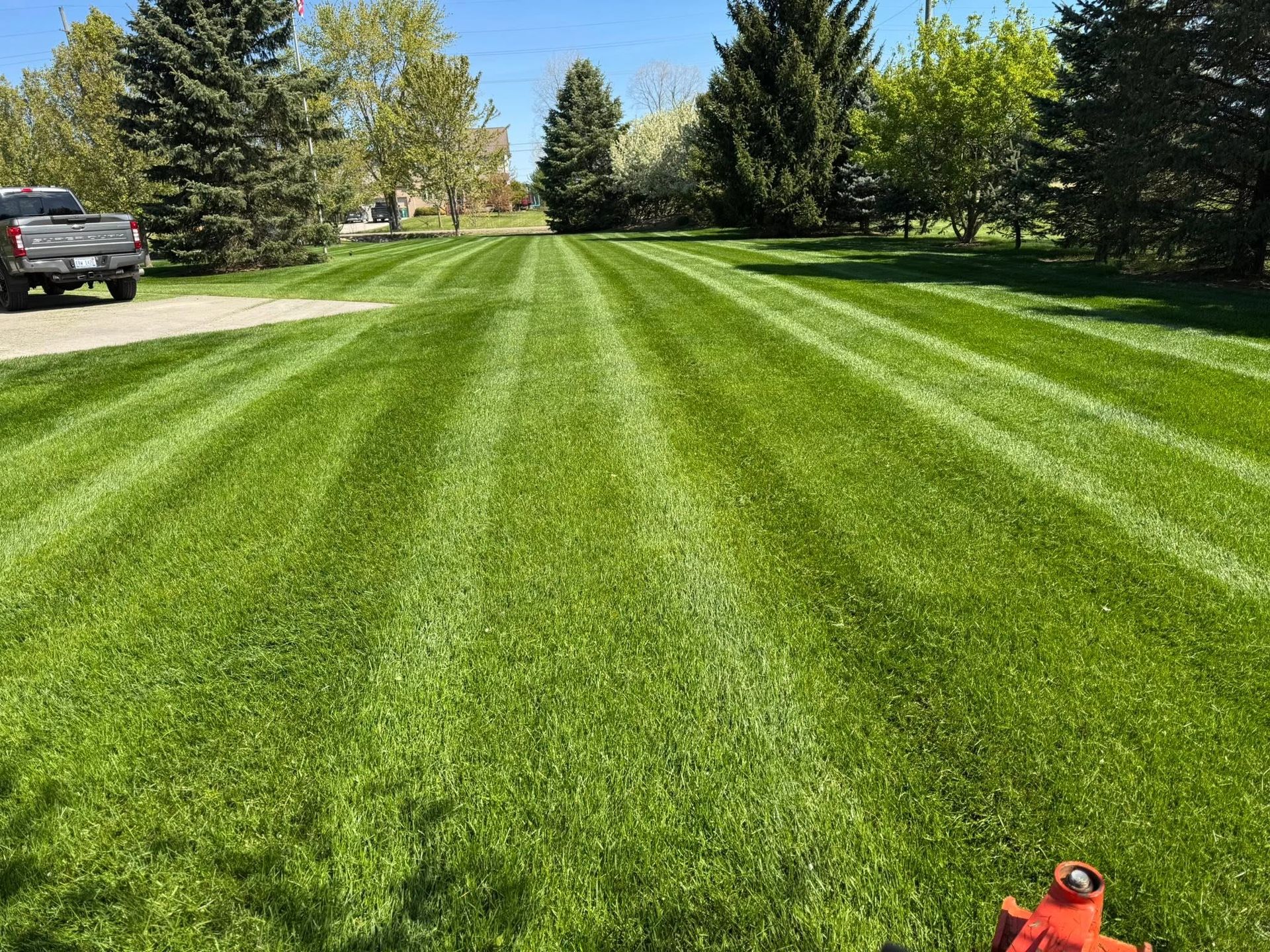 Striped green lawn in a sunny yard with trees and a driveway; a small orange toy sits in the foreground