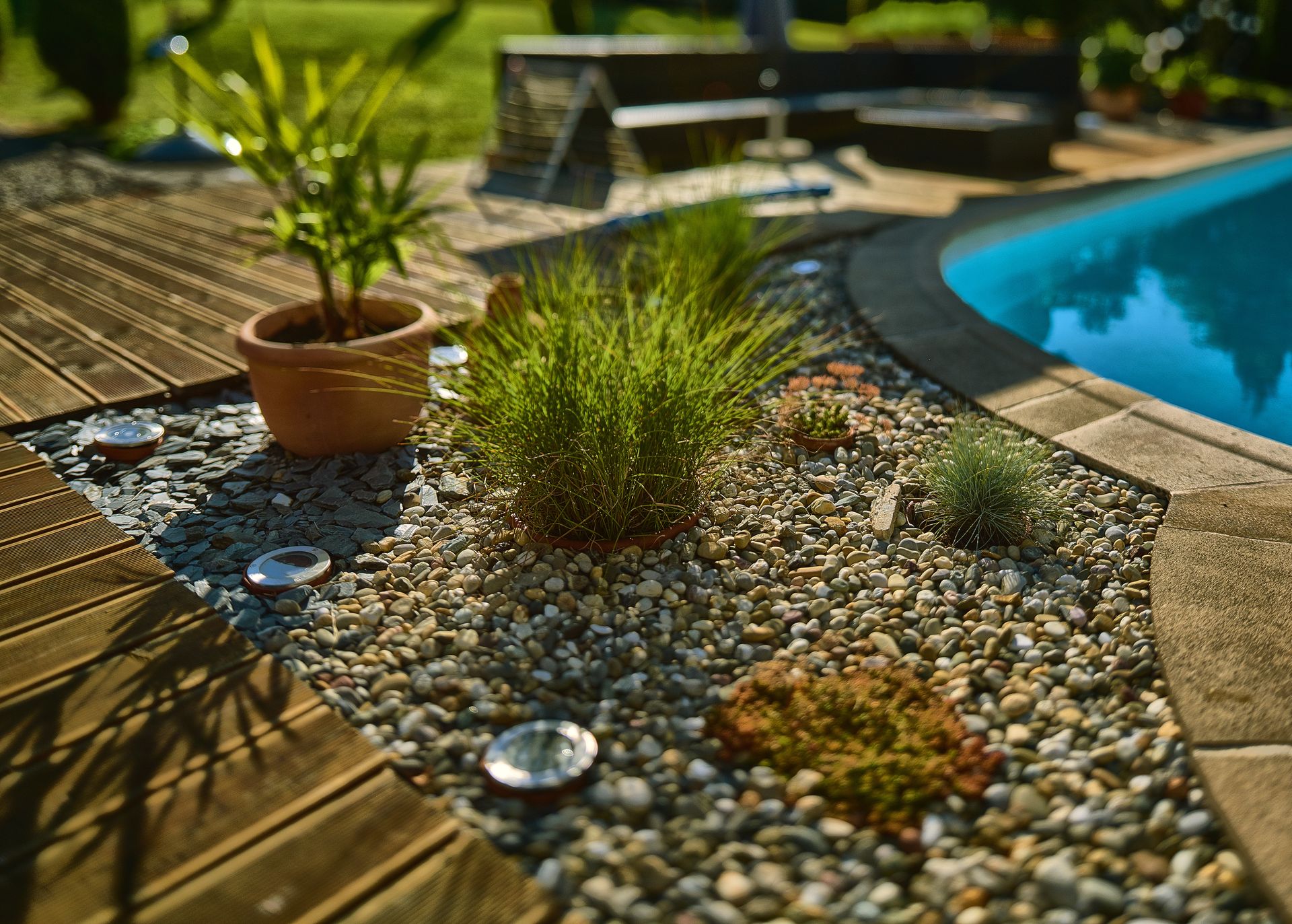 Sunlit backyard pool with a pebble garden bed, potted plant, and stone patio beside blue water