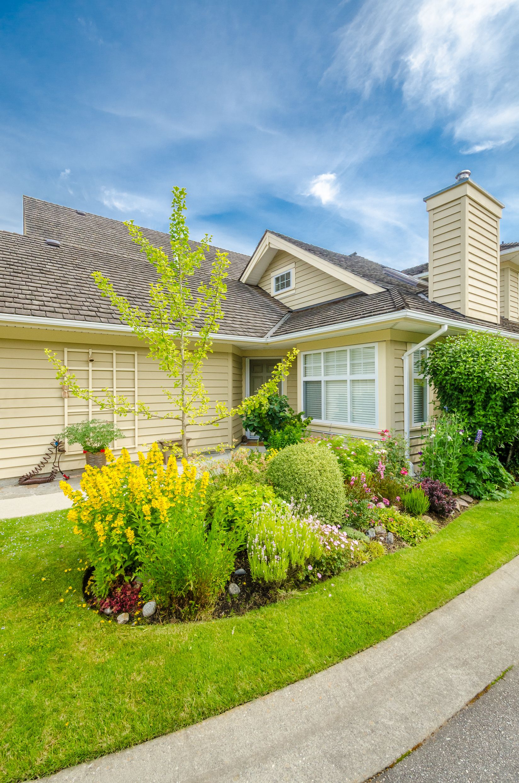 Suburban house with manicured garden, yellow flowers, and a curved walkway under a blue sky