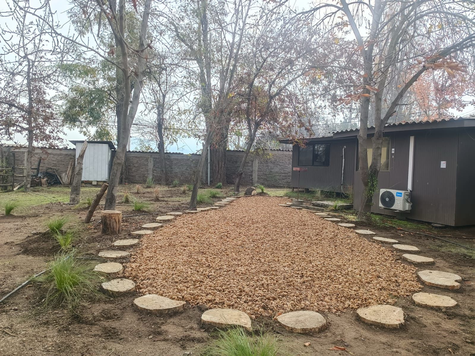 cáscara de nuez