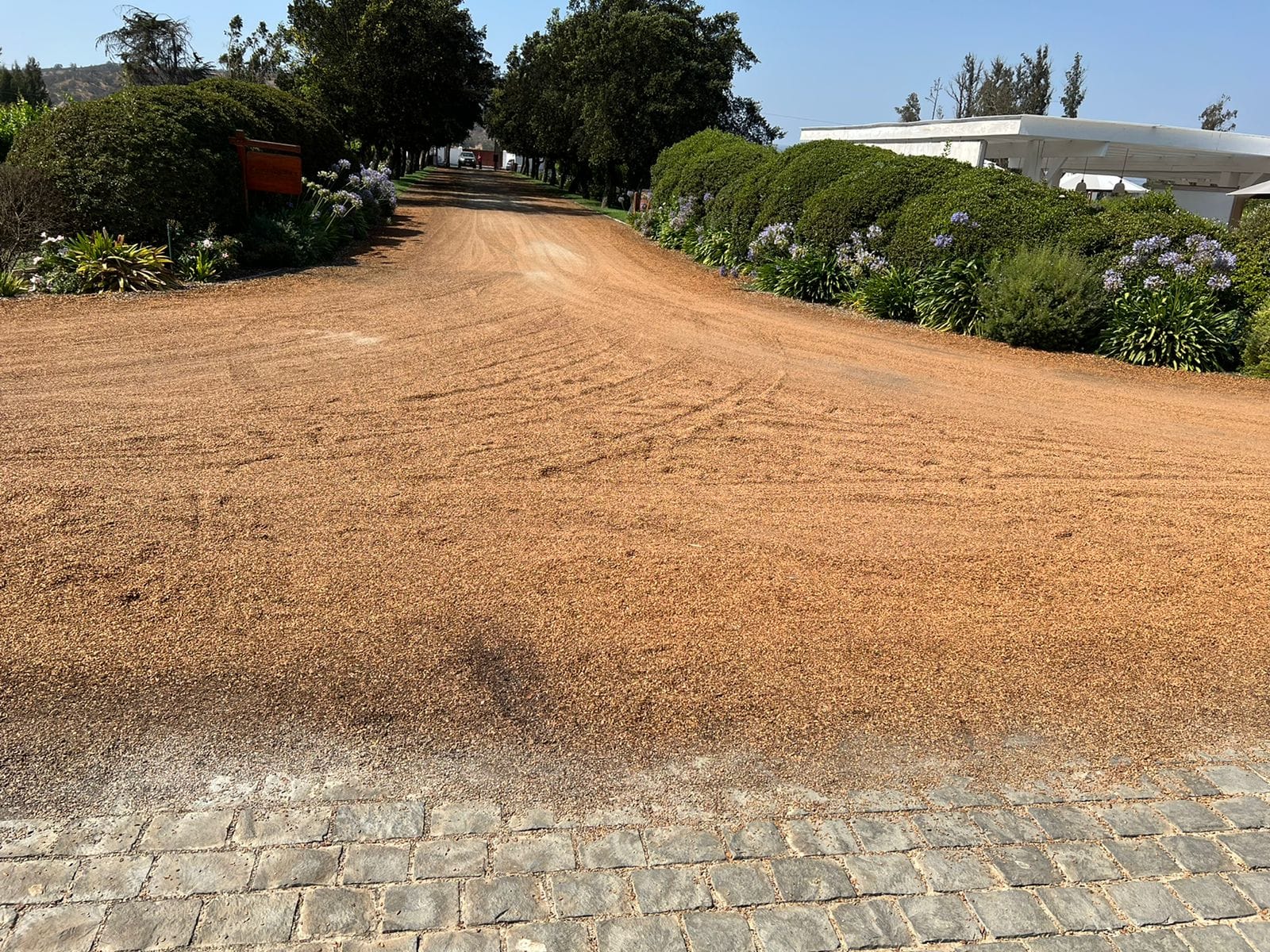 cáscara de nuez