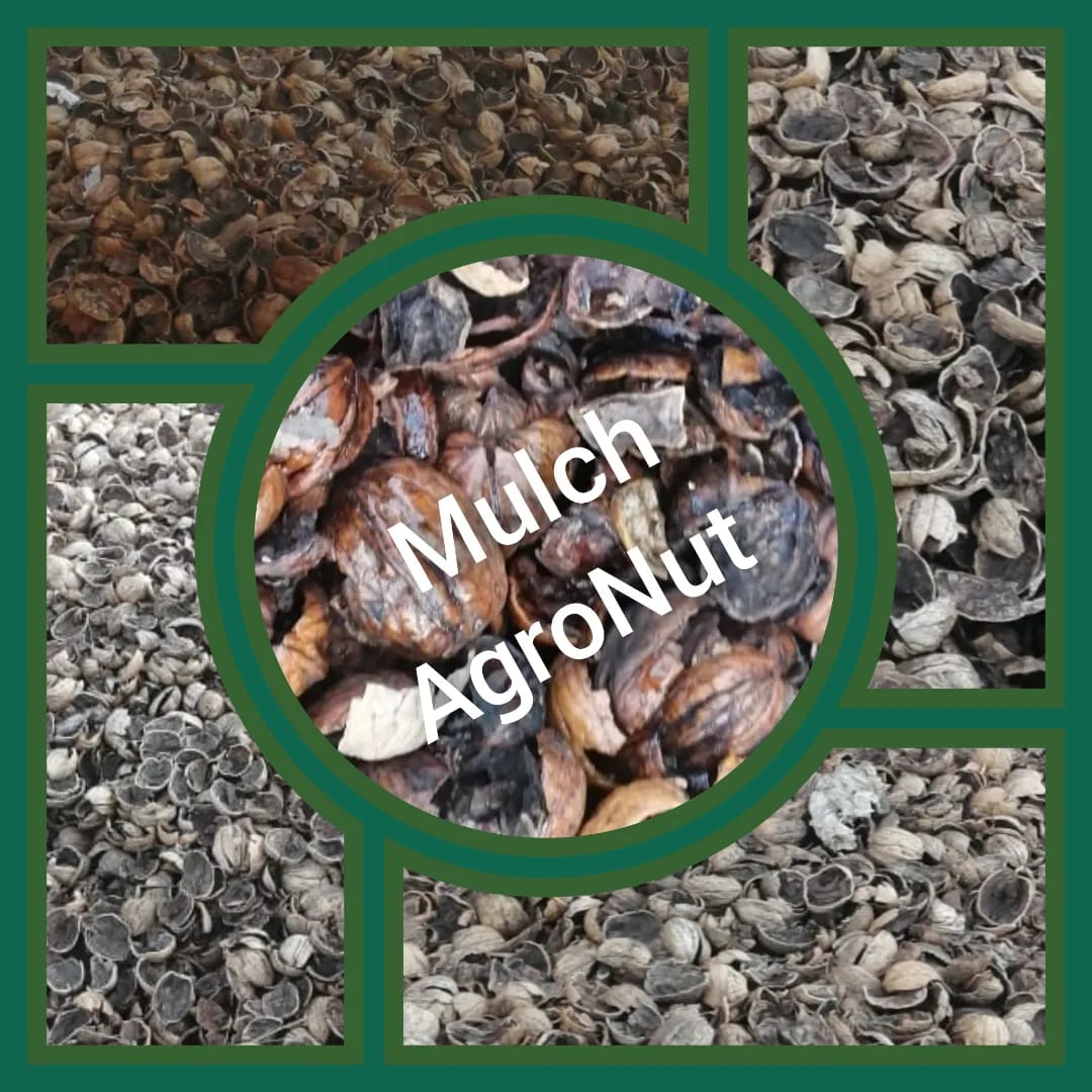 Agro Nut - Venta de Cáscara de Nuez