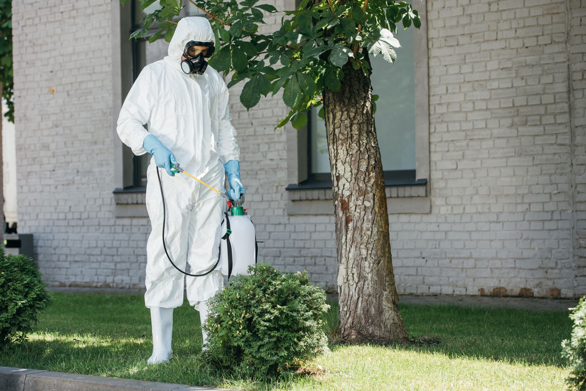 Person in protective suit spraying bushes with a hose outside a brick building