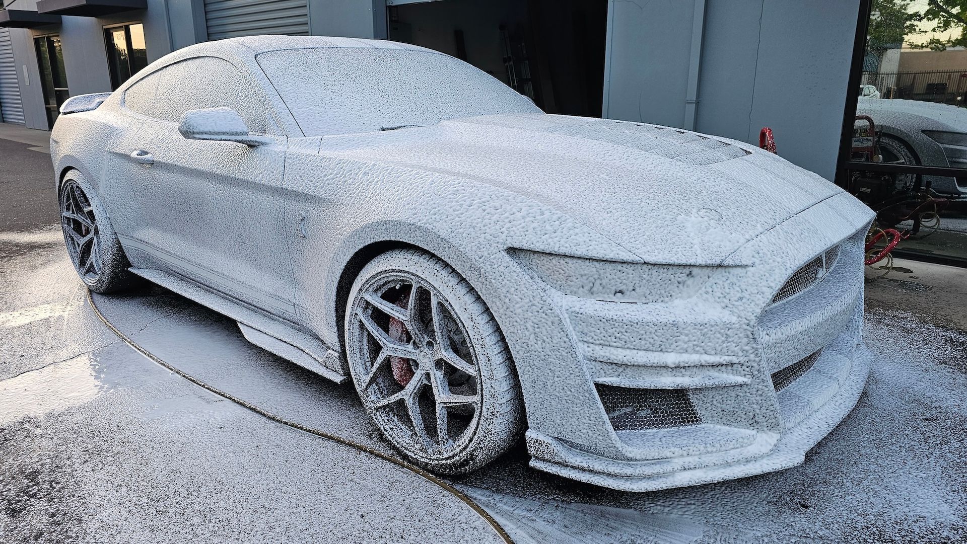 A mustang is covered in foam in front of a building.