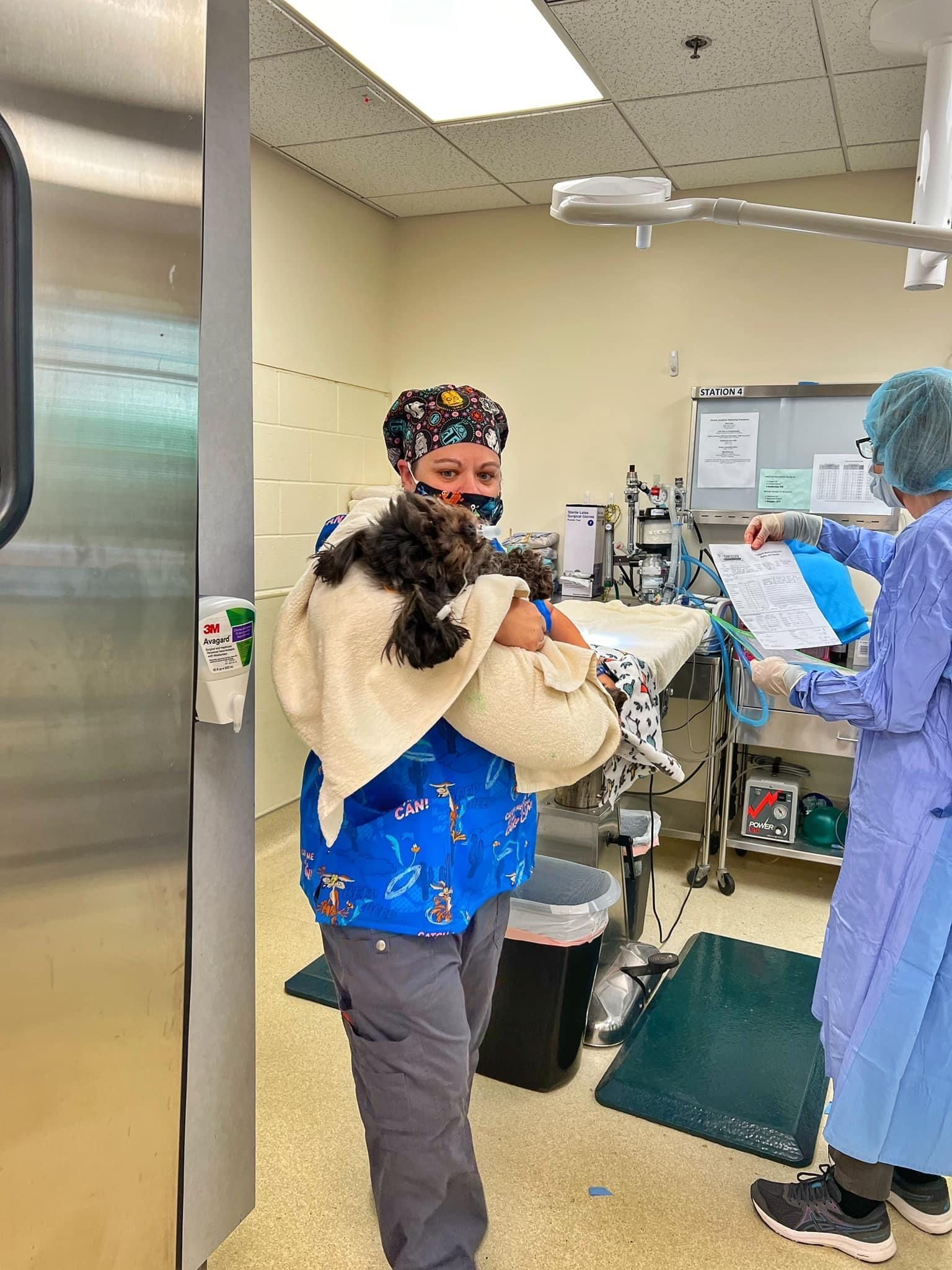 Veterinary Cotati, CA Cotati Small Animal Hospital