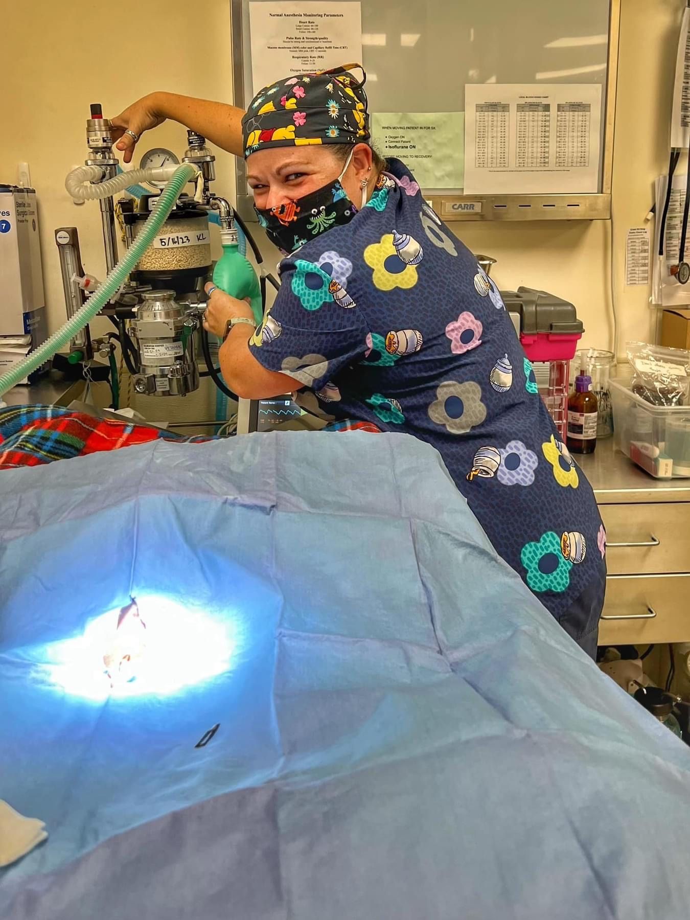 Veterinary Cotati, CA Cotati Small Animal Hospital