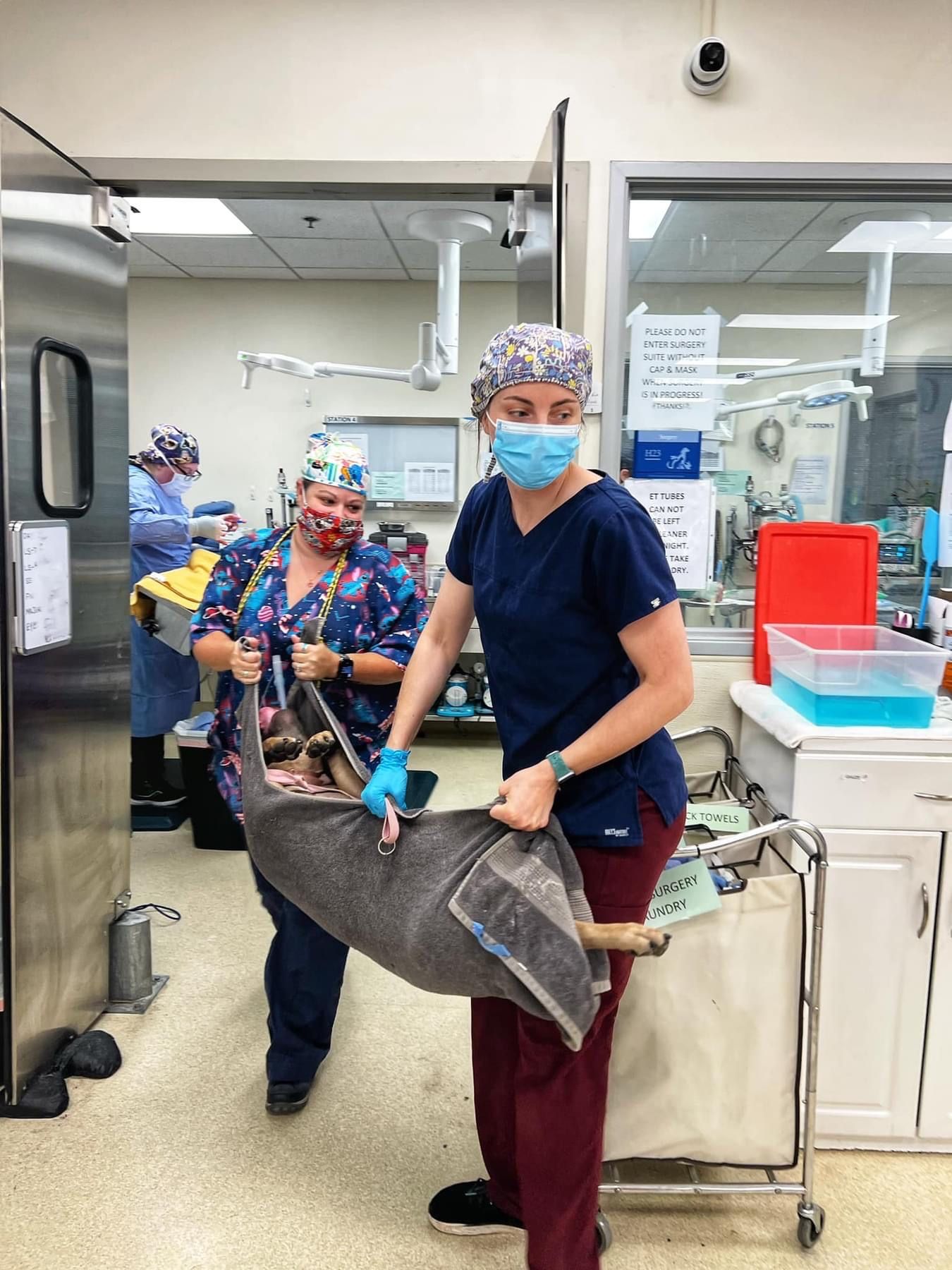 Veterinary Cotati, CA Cotati Small Animal Hospital