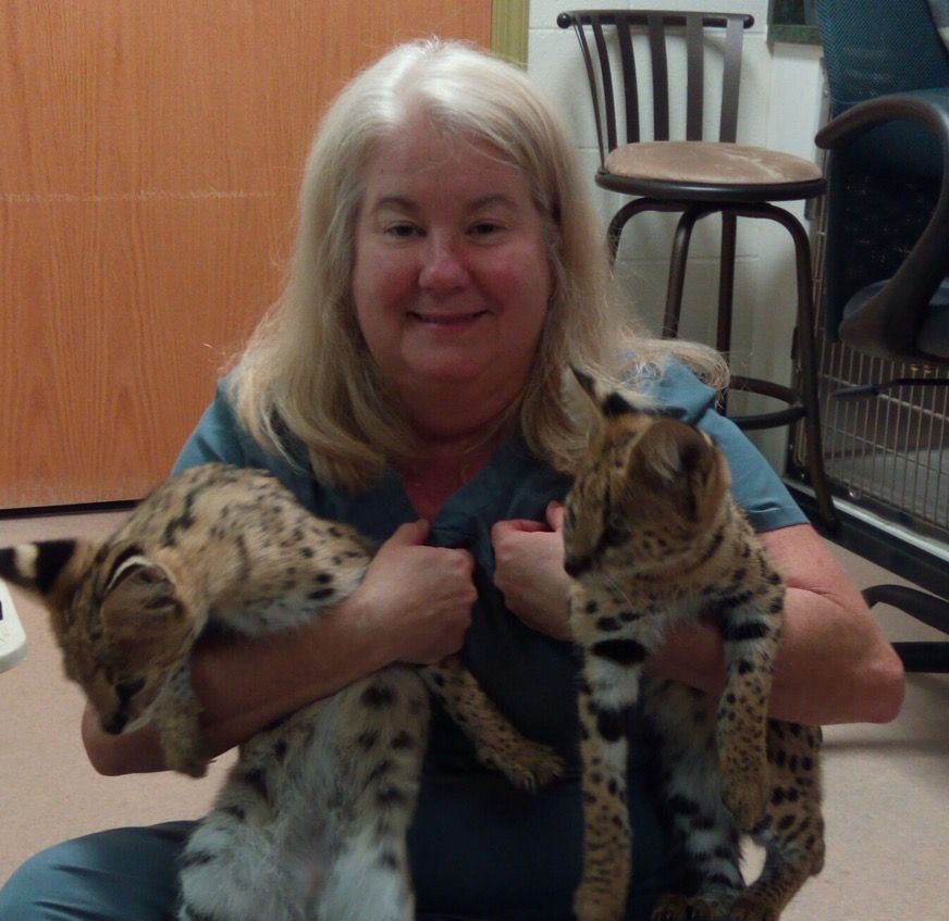 Animal Hospital Cotati, CA Cotati Small Animal Hospital