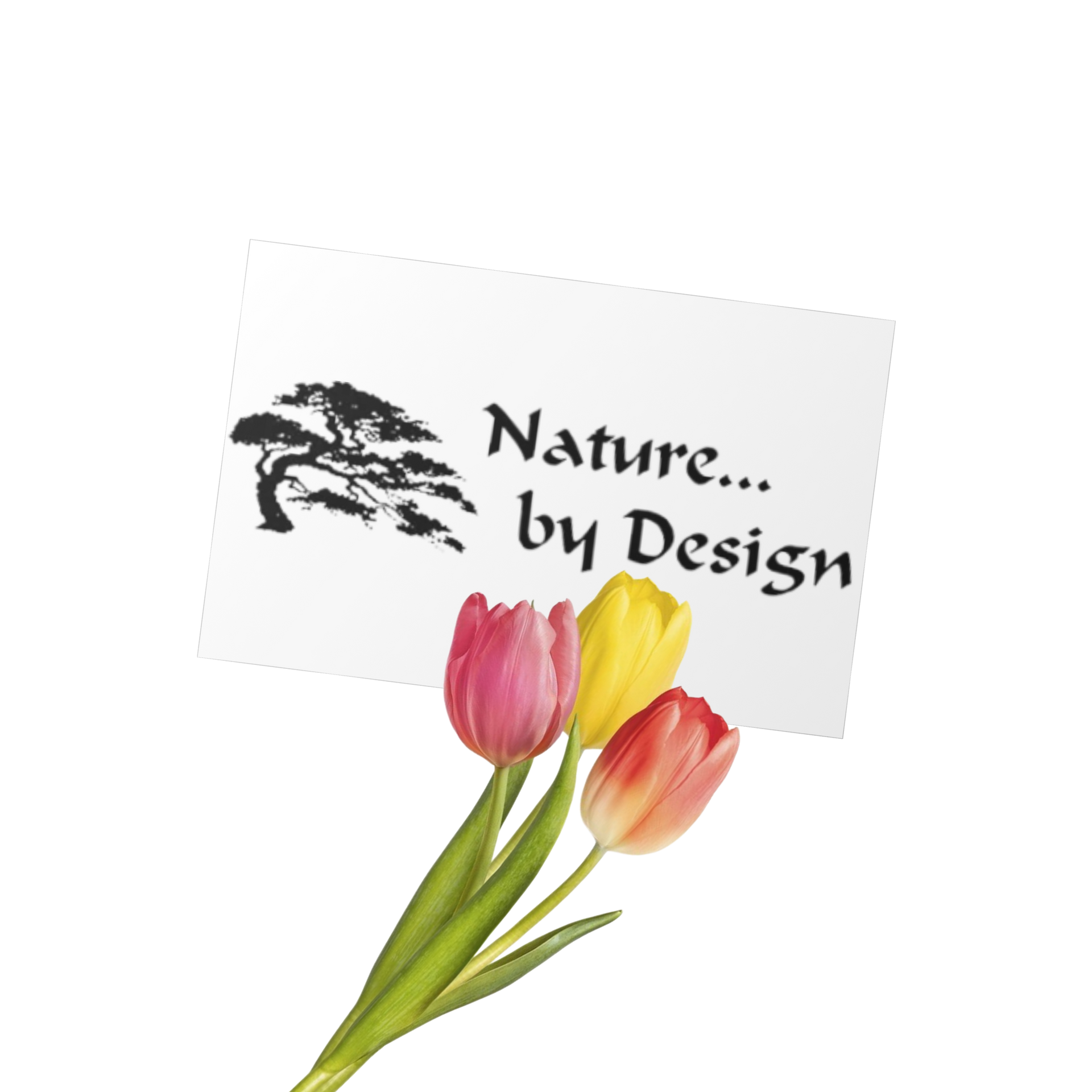 Logo with tulips and text “Nature... by Design”