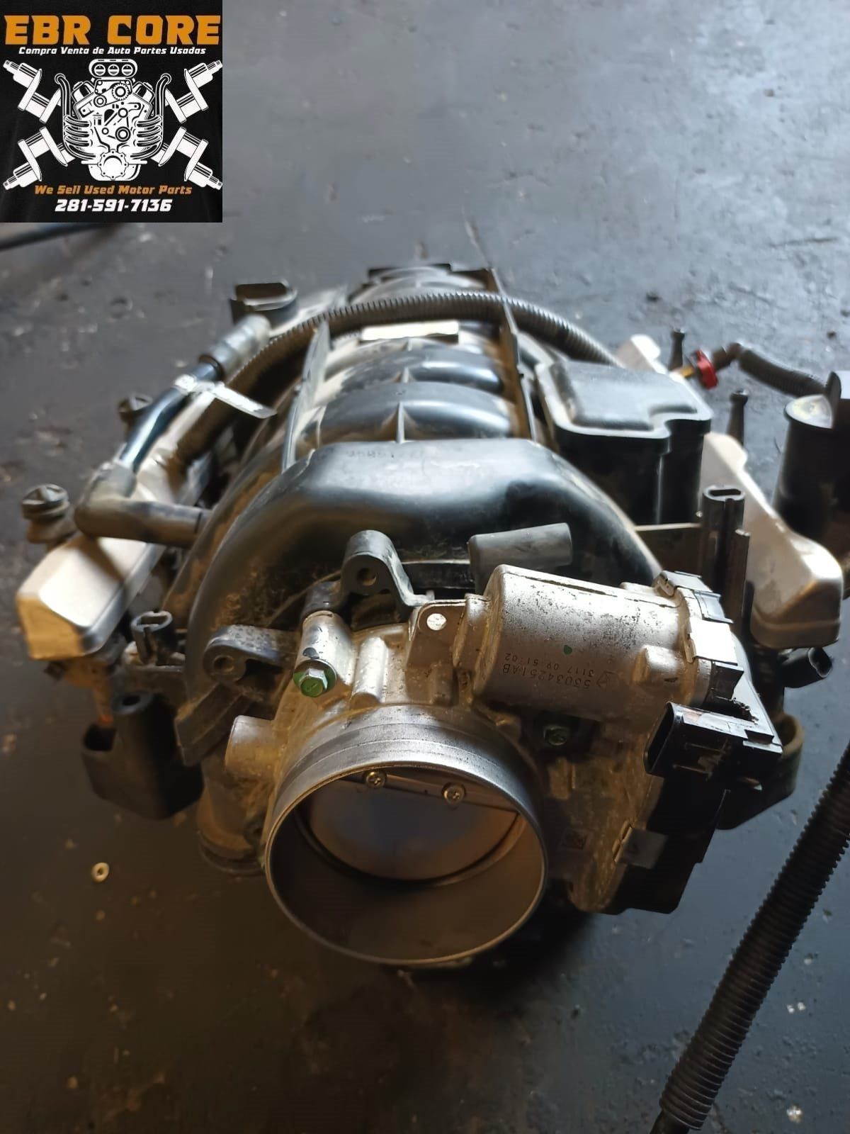 Auto supply shop in Houston TX