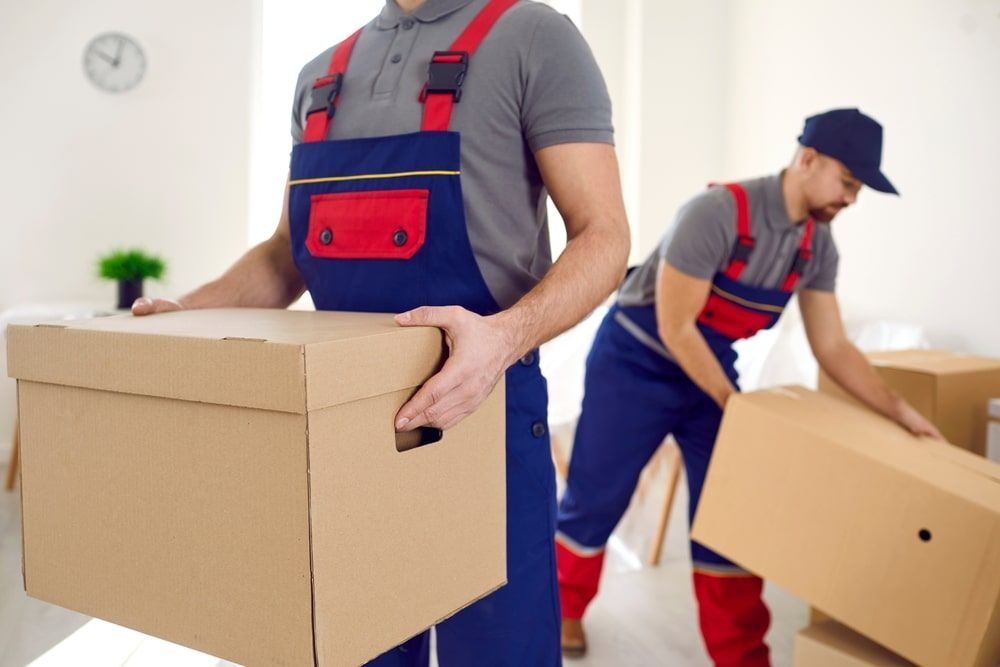 Two Men Are Moving Boxes In A Living Room — Greater Newcastle Removals In Rathmines, NSW