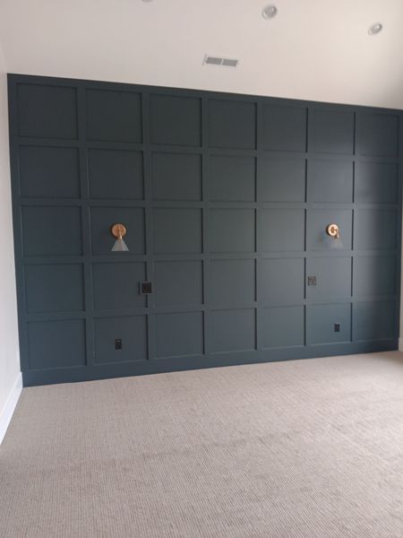 Dark paneled wall with brass sconces and outlets, above beige carpet.