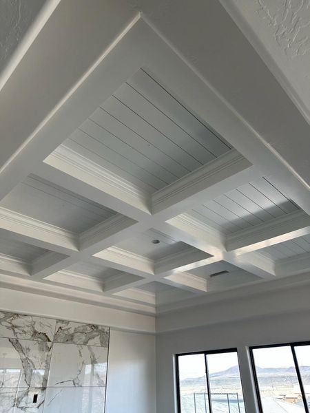 White coffered ceiling with rectangular panels and paneled inserts above marble fireplace.