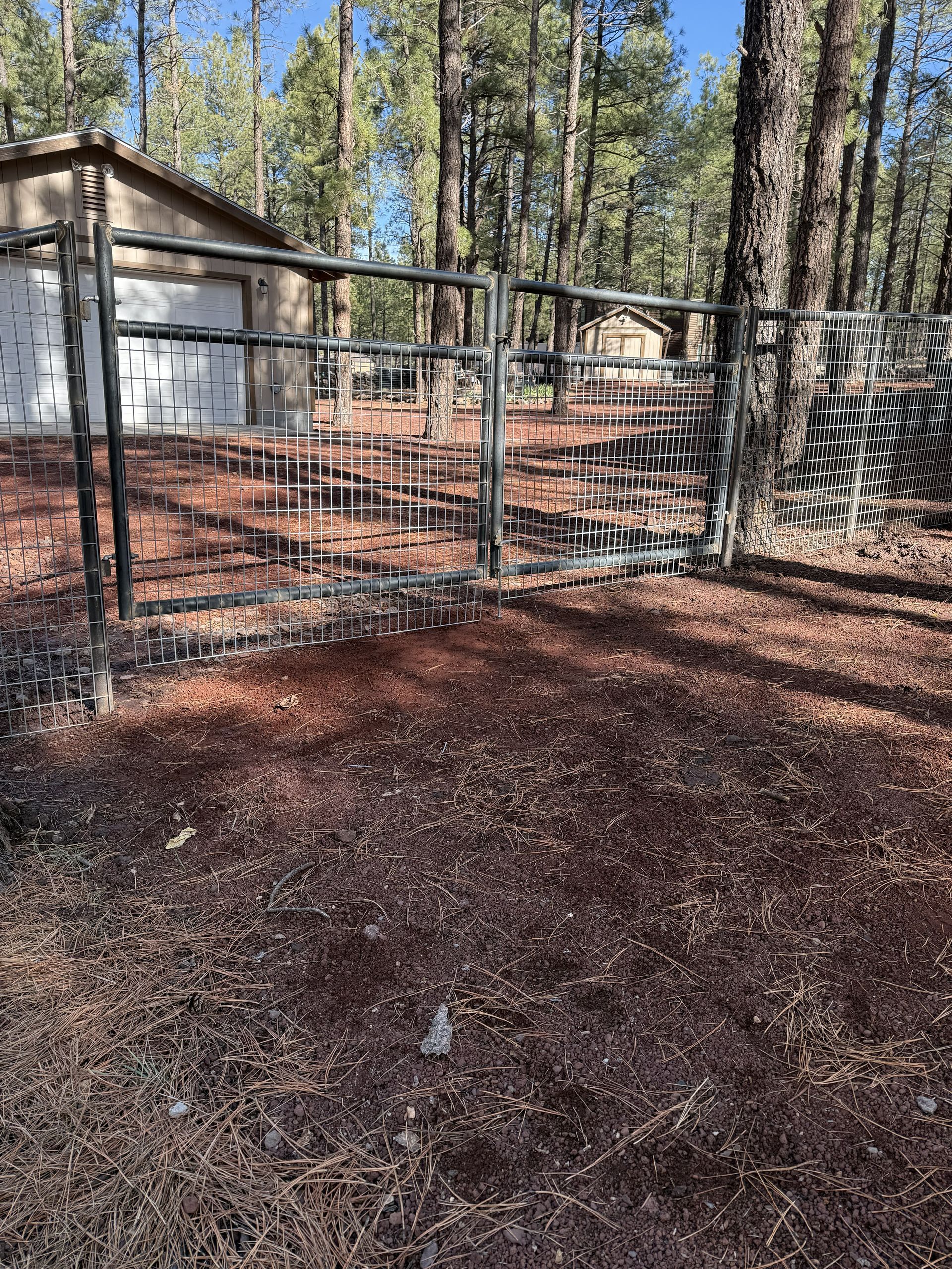 A metal gate stands in a pine forest, with a detached garage visible in the background over a ground covered in pine needles.