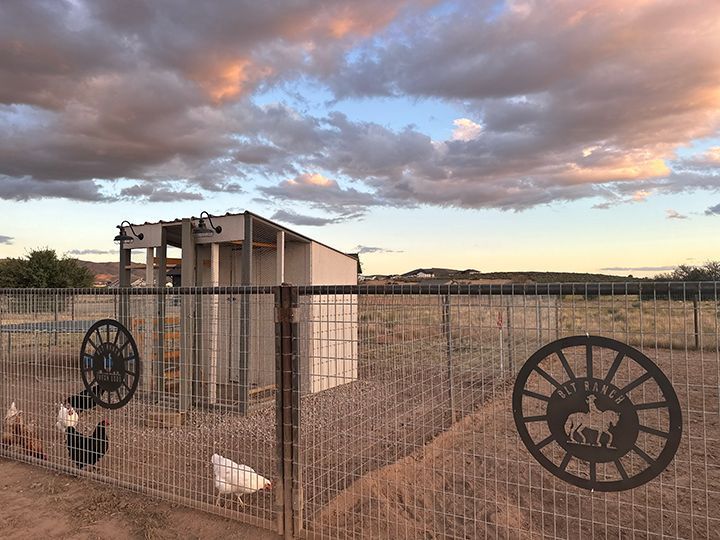 Chickens near a fenced-in shed with wagon wheel art, under a sunset sky.