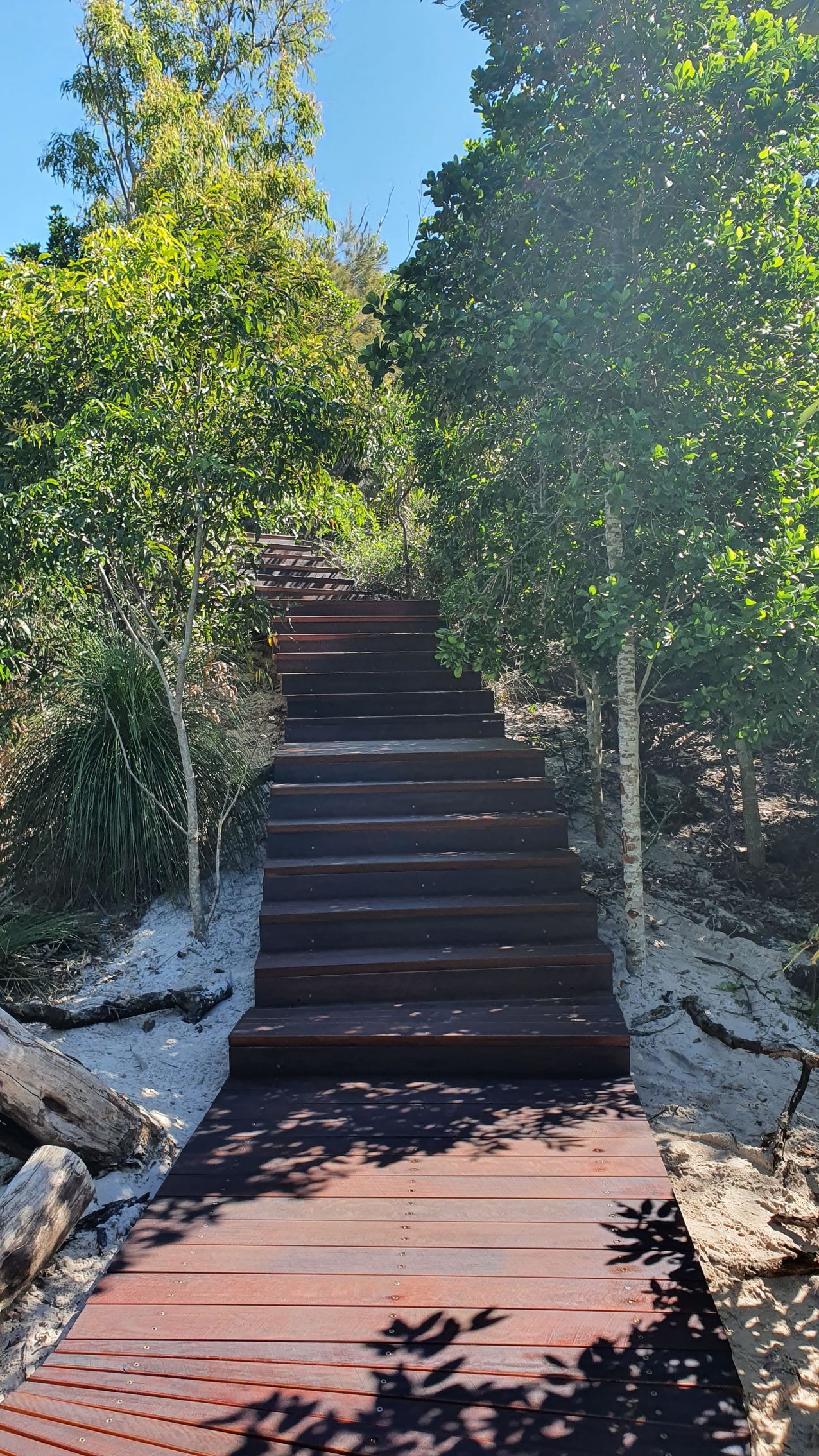 Wooden Stairs Ascend Through a Green Wooded Area on a Sunny Day — Red Emperor Constructions in Cannonvale, QLD