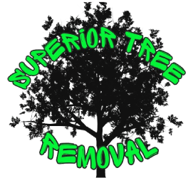 A black silhouette of a tree with "SUPERIOR TREE REMOVAL" written in bright green, bubble-style letters arched over it.