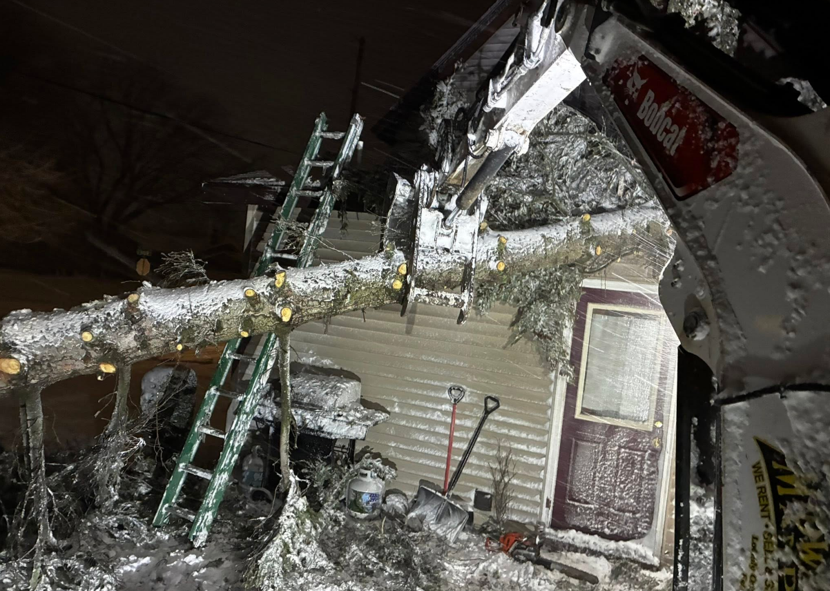 A snow-covered cabin has a fallen tree branch on the roof; a ladder leans against it. A Bobcat tractor is present.
