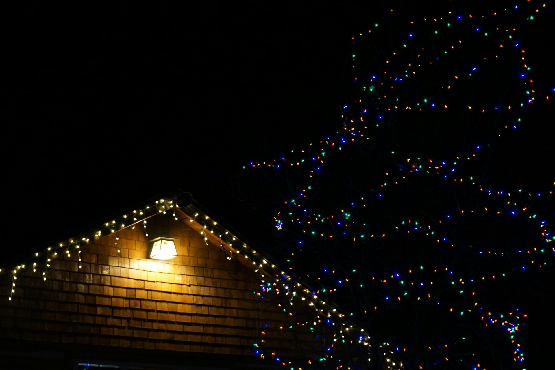 Roof of a building with Christmas lights and a lit tree at night.