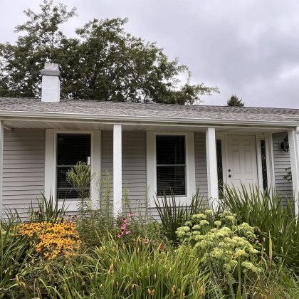 Front exterior of a gray house with white columns and door, with overgrown garden of green and yellow plants.