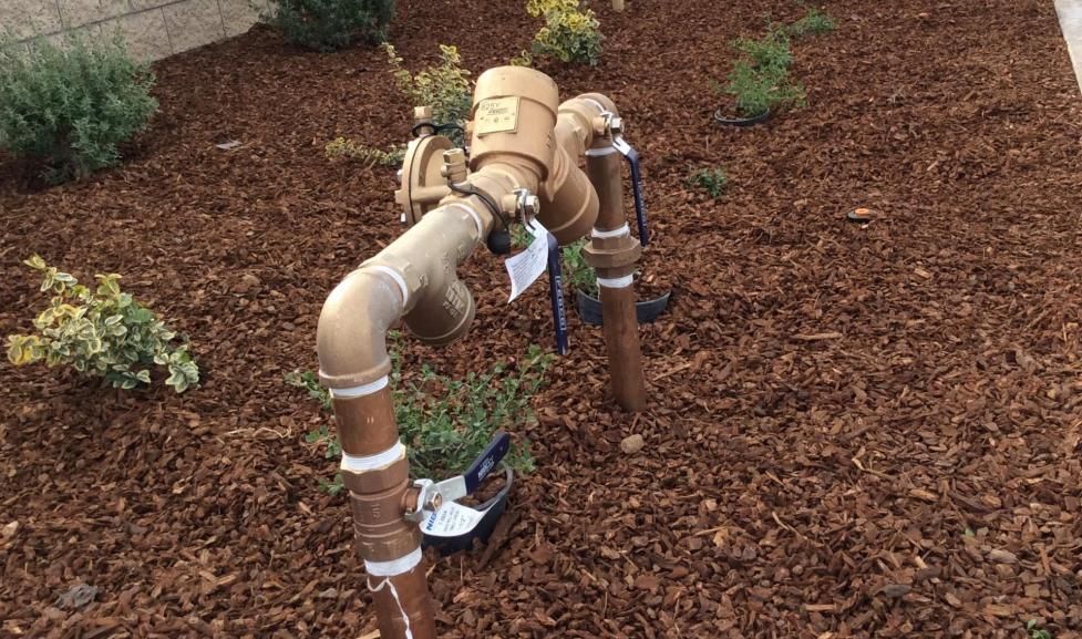 Outdoor pipes and valves against a brick wall, with red and blue plumbing fixtures on a wet pavement.