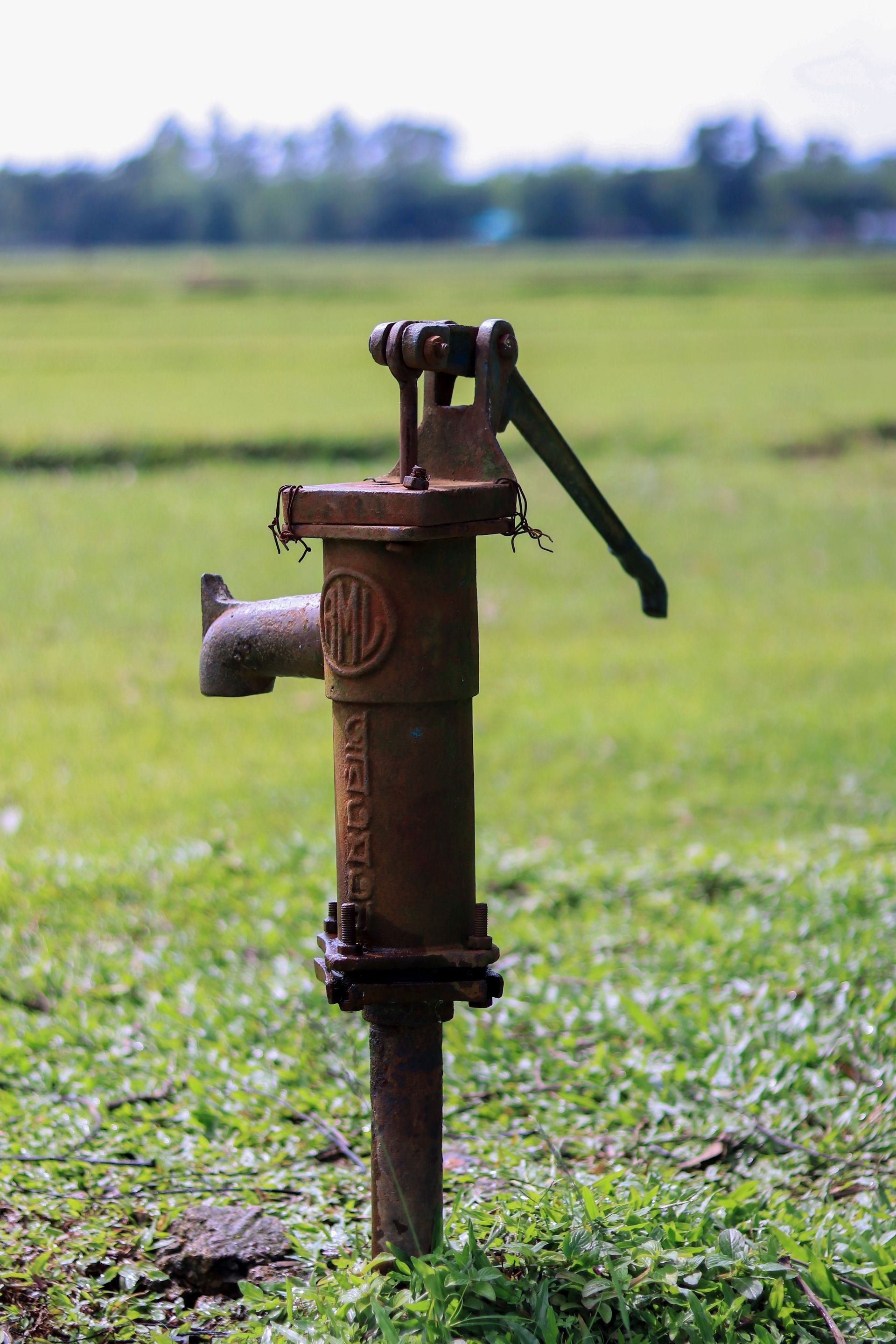Rusty hand water pump standing in a green grassy field, with blurred trees in the background