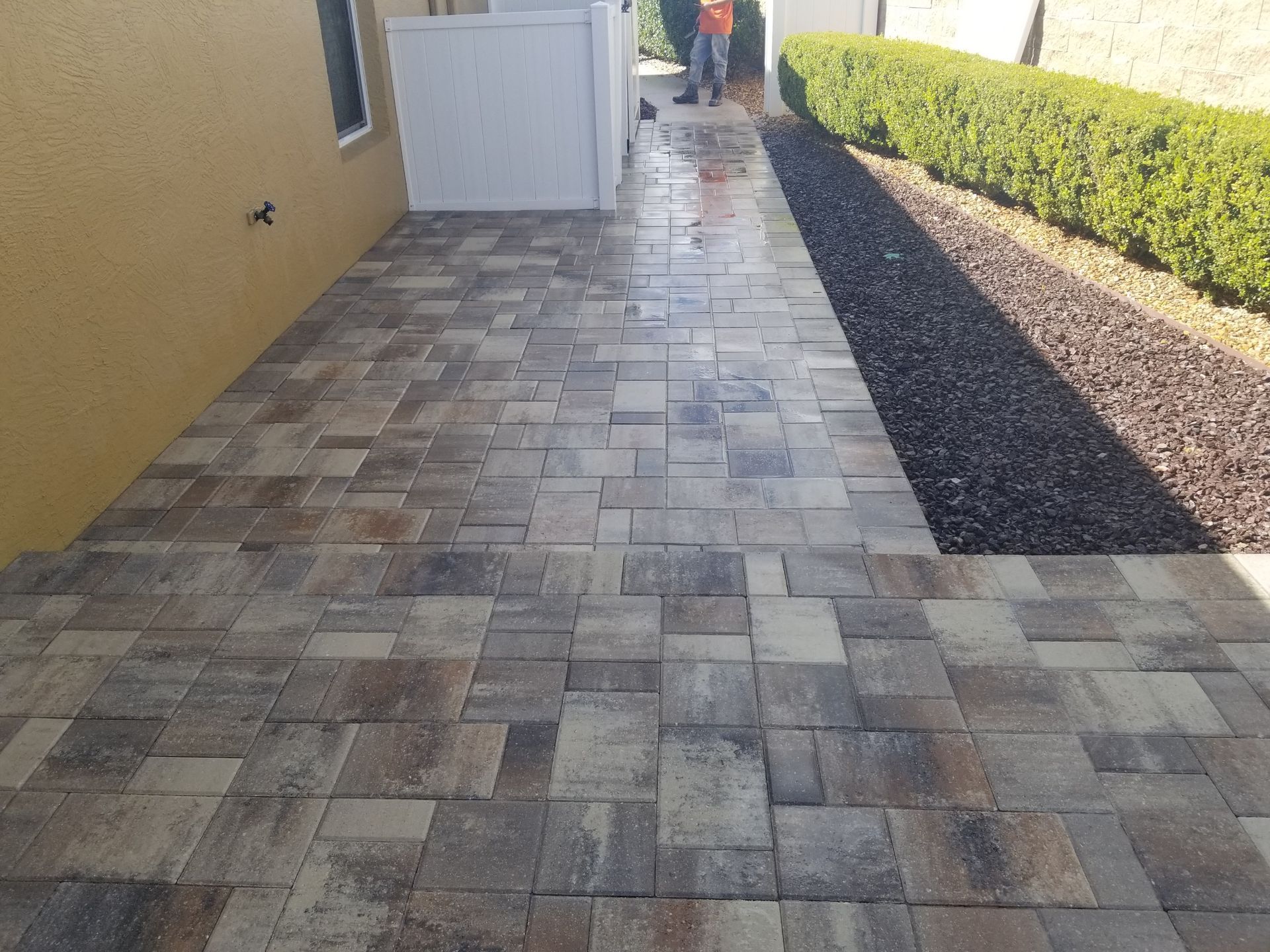 A stone paver walkway runs alongside a tan exterior wall, leading to a white gate next to a manicured hedge and mulch bed.