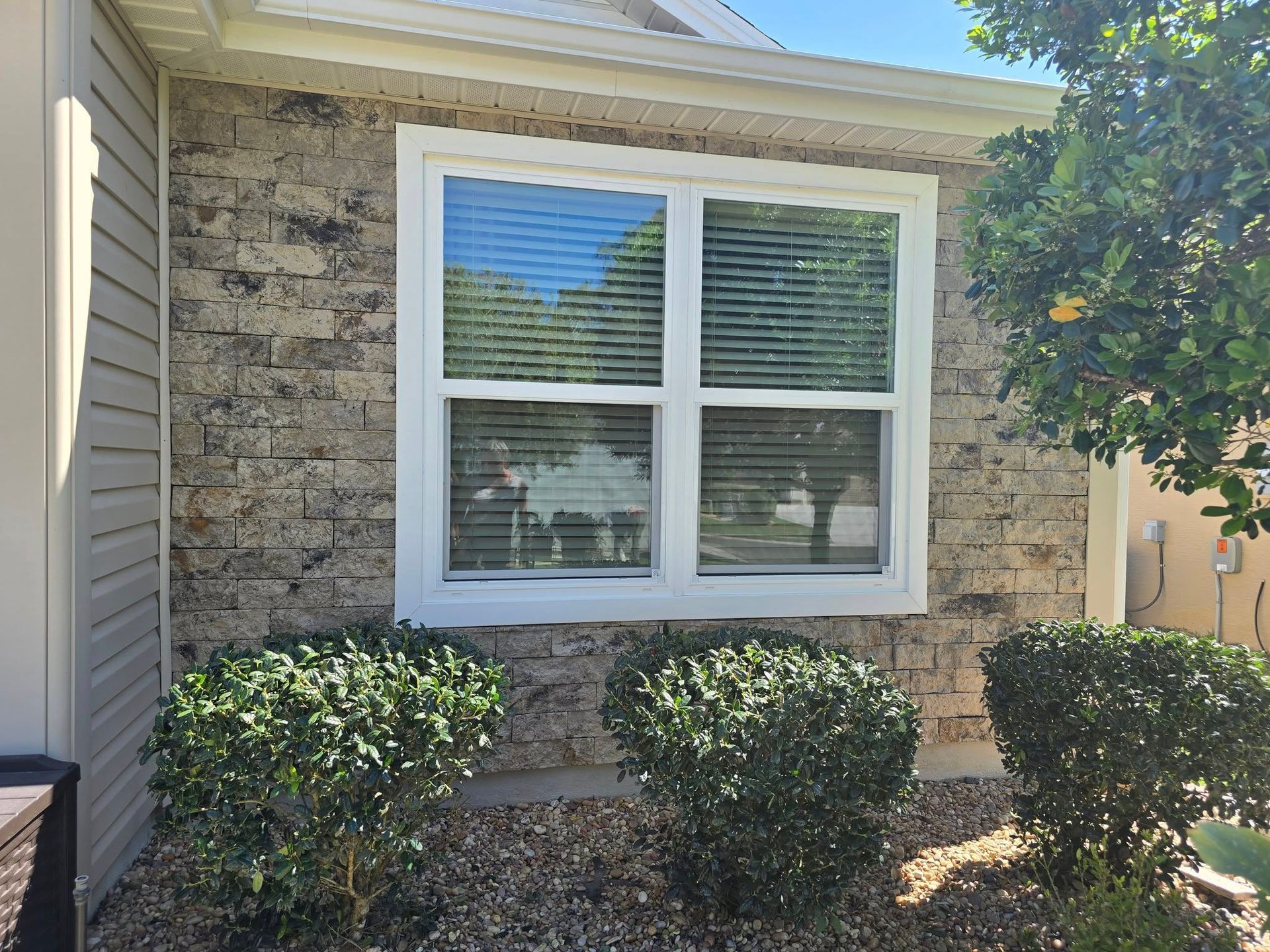 A white-framed window on a textured, tan-colored stone wall, surrounded by green landscaping shrubs and gravel.