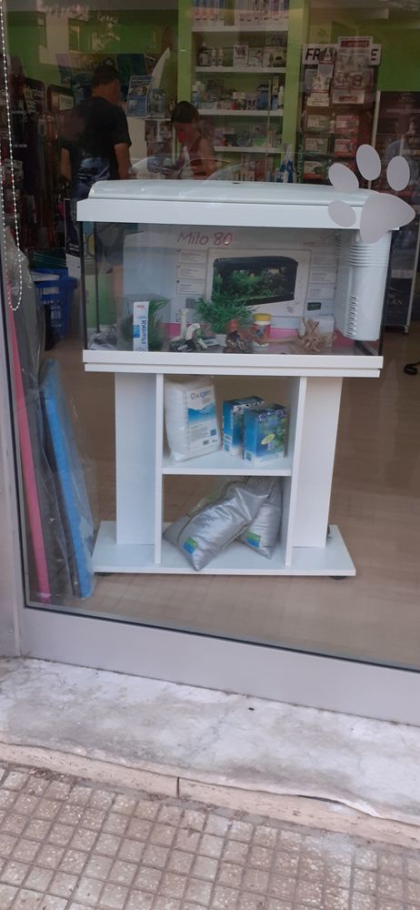PET SHOP BROLO