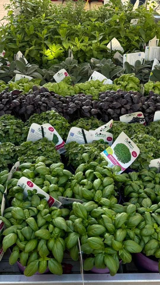 AGROZOO MARKET