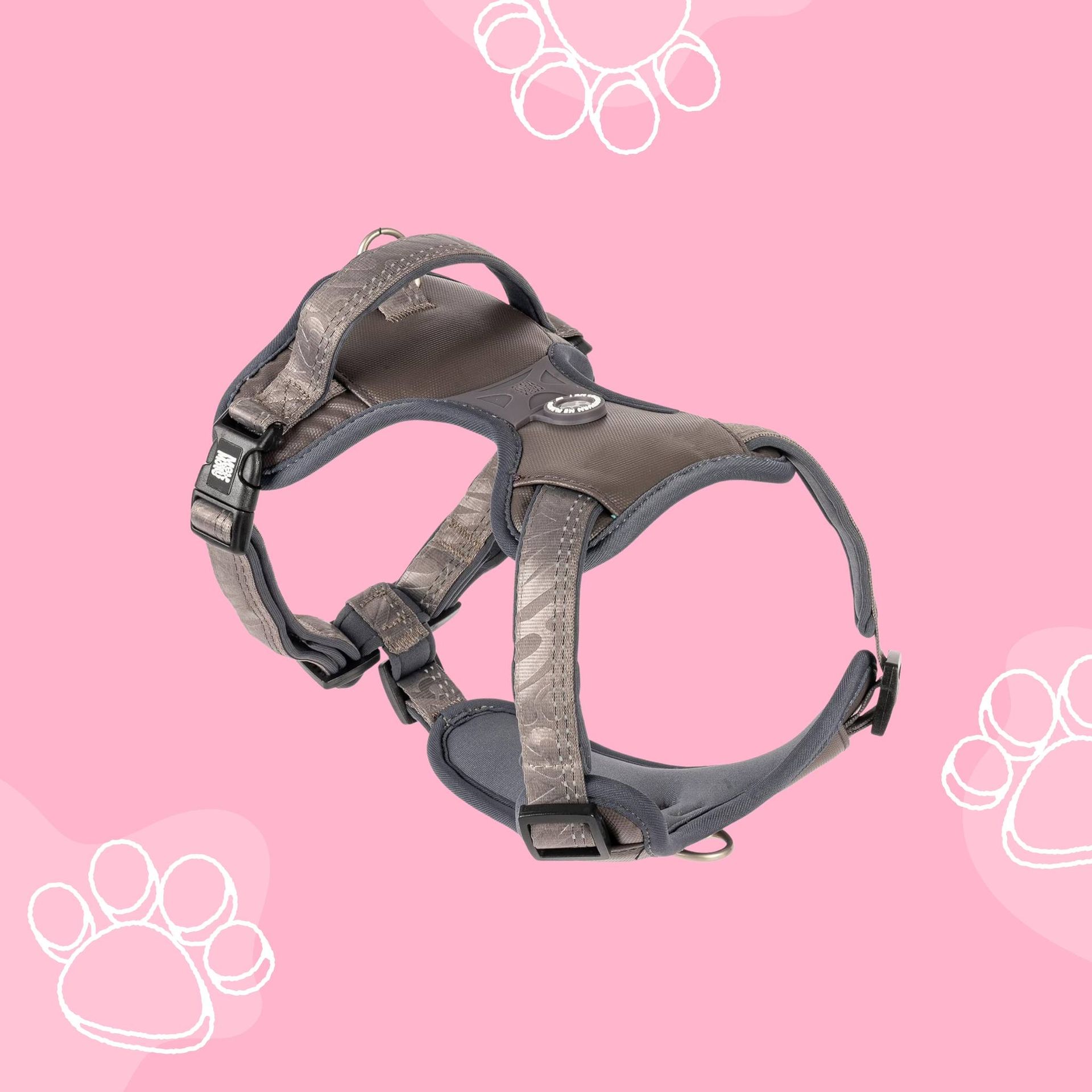 PET SHOP BROLO