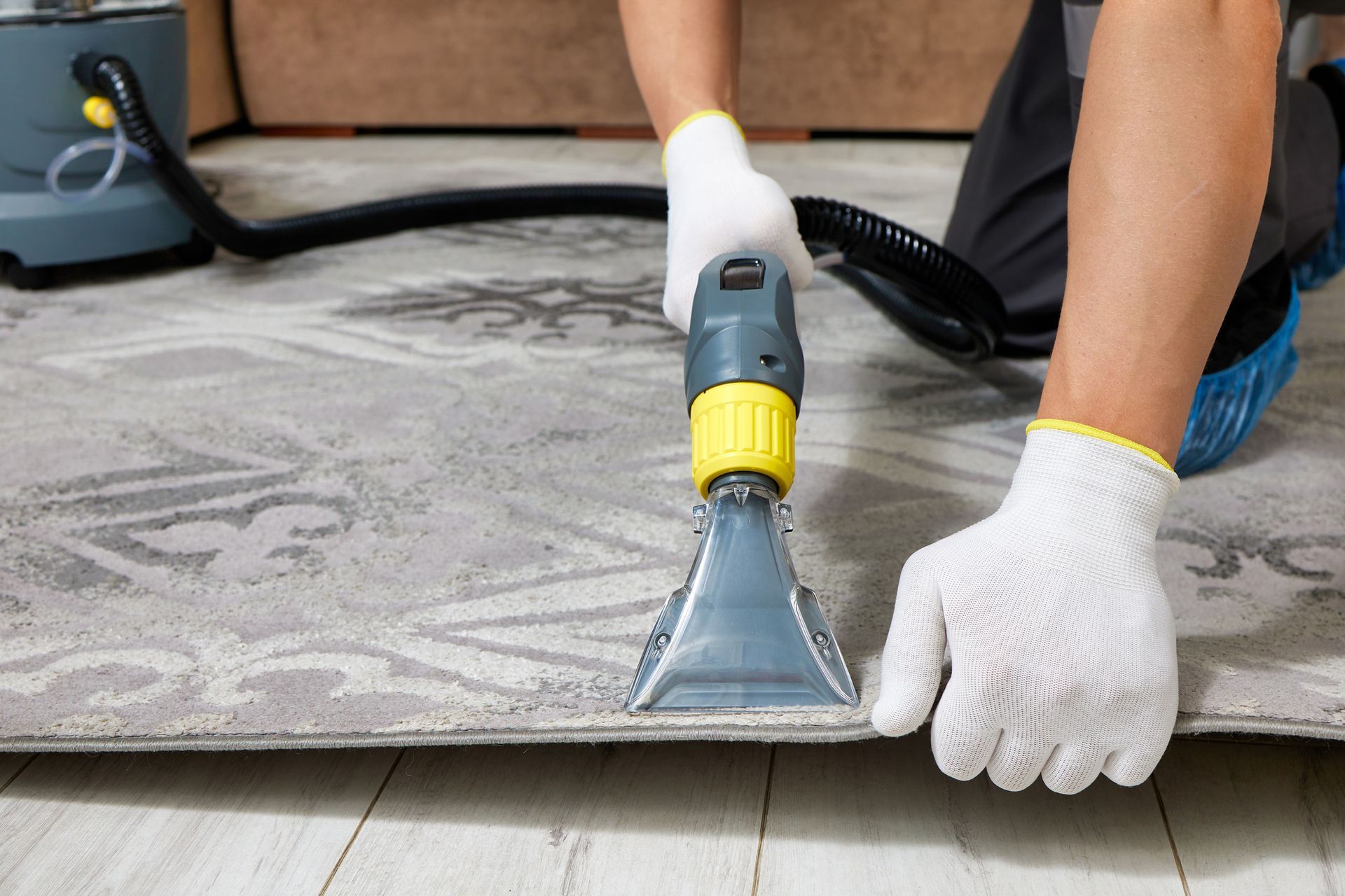 Carpet cleaning service